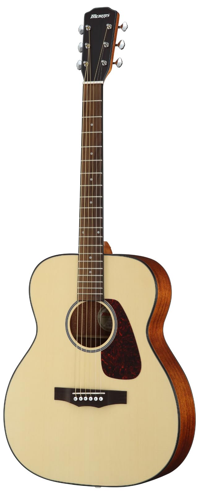 Amazon | Morris F-1 NAT モーリス フォークサイズ アコースティック